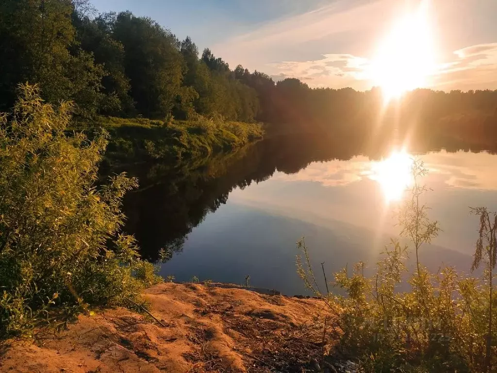 Участок в Новгородская область, Крестецкий муниципальный округ, с. ... - Фото 2