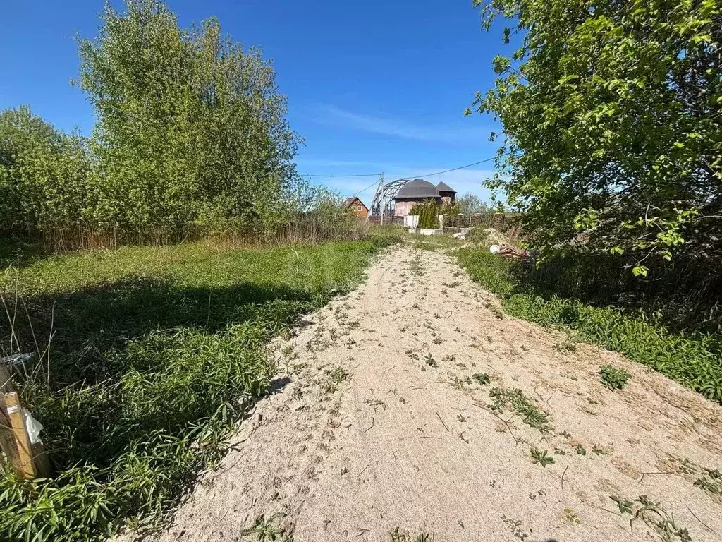 Участок в Калининградская область, Калининград  (6.5 сот.) - Фото 2