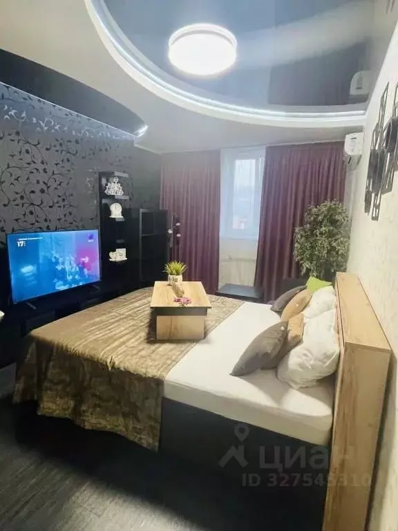 1-к кв. Еврейская автономная область, Биробиджан Пионерская ул., 100 ... - Фото 1