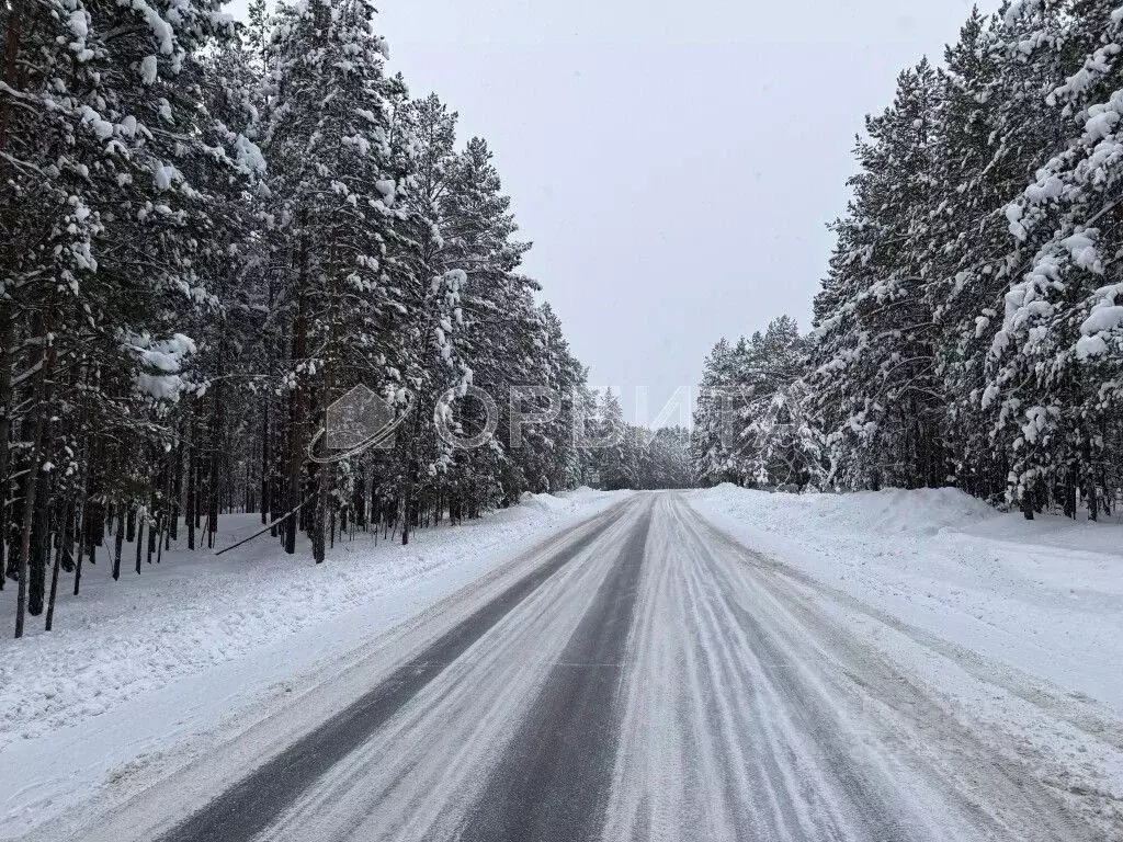 Участок в Тюменская область, Тюменский муниципальный округ, Архип ... - Фото 1