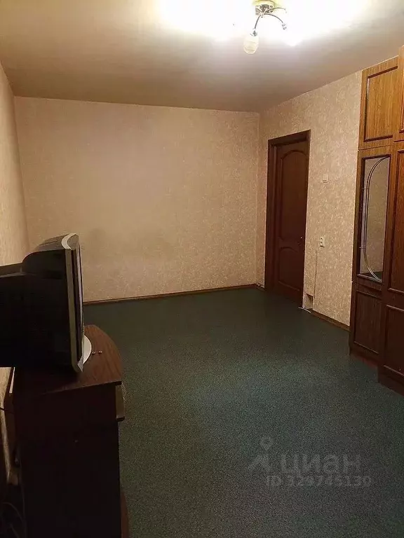 1-к кв. Московская область, Домодедово Центральный мкр, ул. Каширское ... - Фото 1