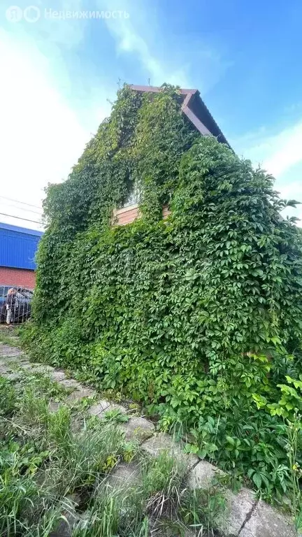 Дом в Серафимовский сельсовет, СНТ Нефтяник -2 (60 м) - Фото 2