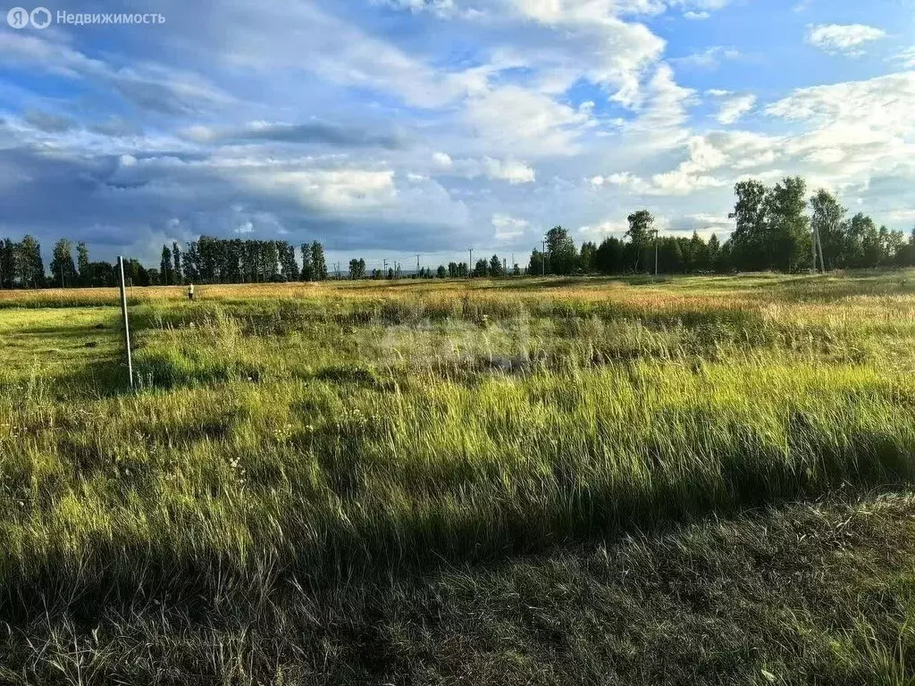 Участок в Тукаевский район, Малошильнинское сельское поселение, село ... - Фото 2