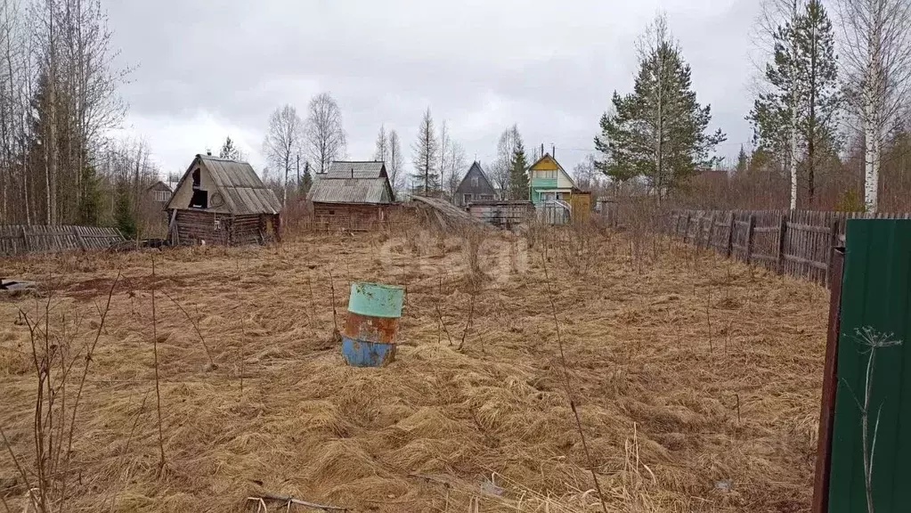 Участок в Коми, Сыктывдинский район, с. Выльгорт, Клен садоводческое ... - Фото 0