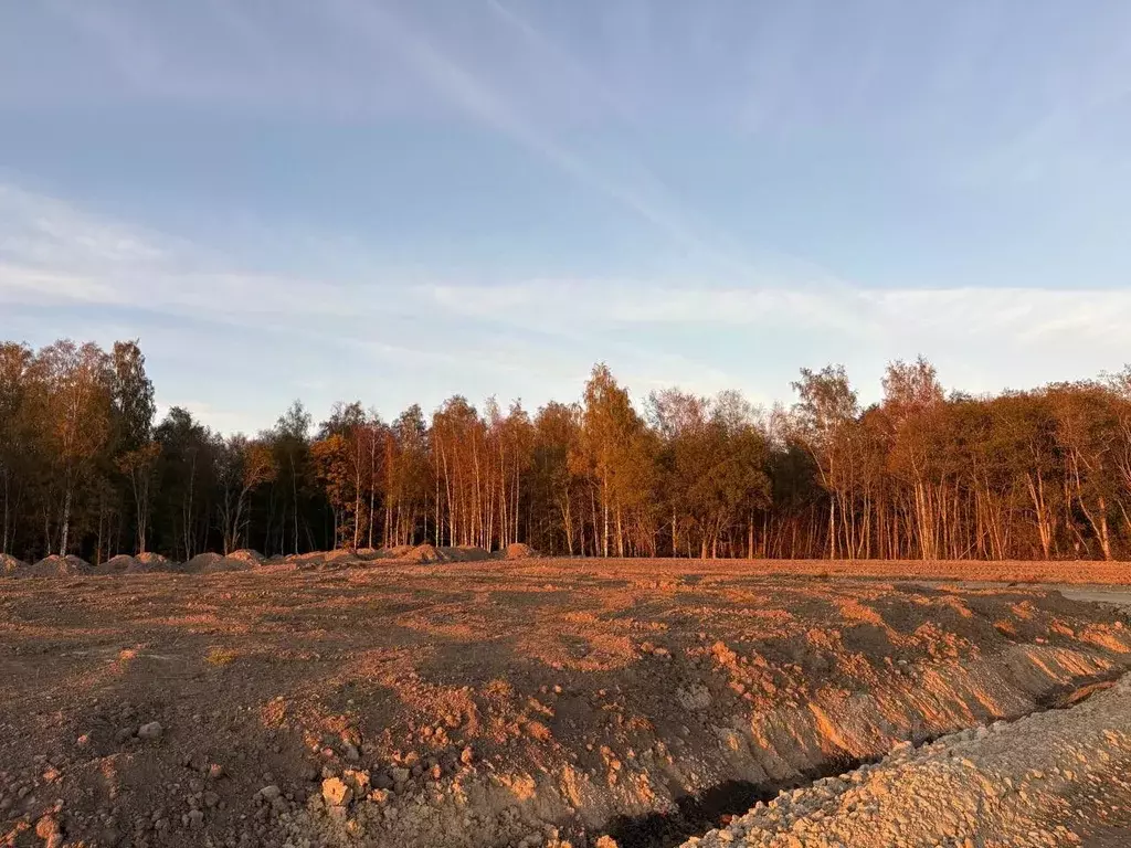 Участок в Ленинградская область, Ломоносовский район, Лопухинское ... - Фото 2
