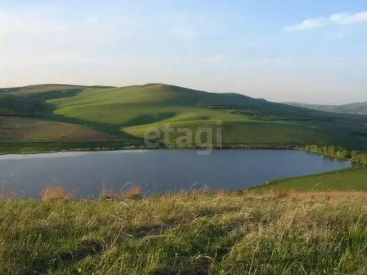 Участок в Алтай, Майминский район, с. Подгорное  (12.43 сот.) - Фото 2