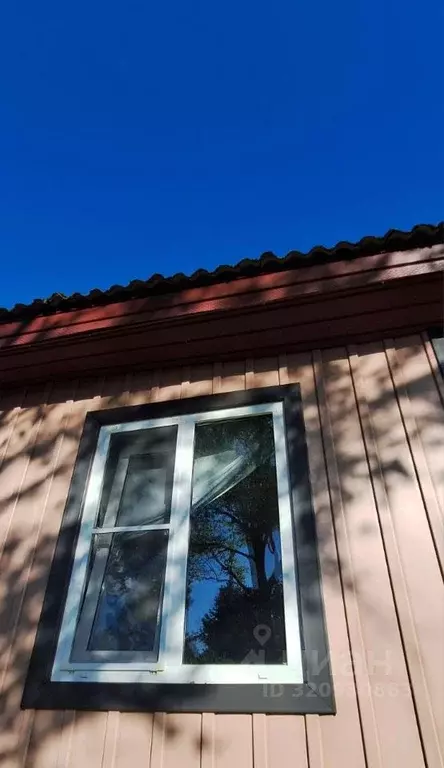 Дом в Псковская область, Пустошкинский район, Алольская волость, д. ... - Фото 2