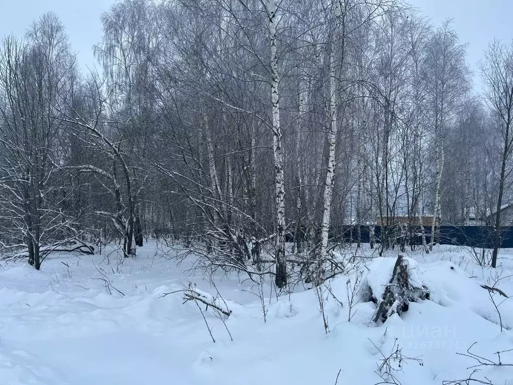 Участок в Московская область, Ступино городской округ, с. Киясово  ... - Фото 1