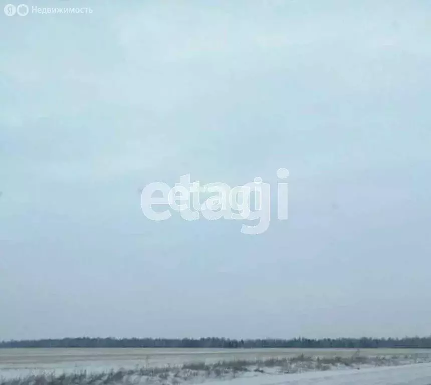 Участок в Курганская область, Шадринский муниципальный округ, село ... - Фото 0