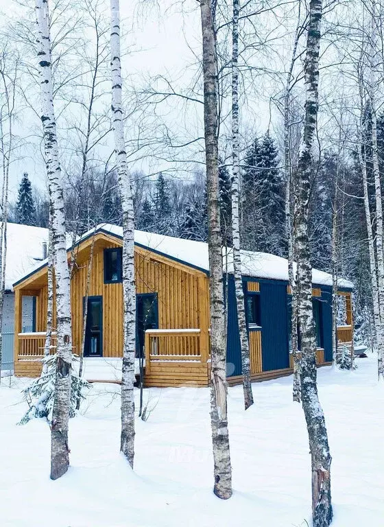 Дом в село Марфино, посёлок Новое Марфино (99.5 м) - Фото 1