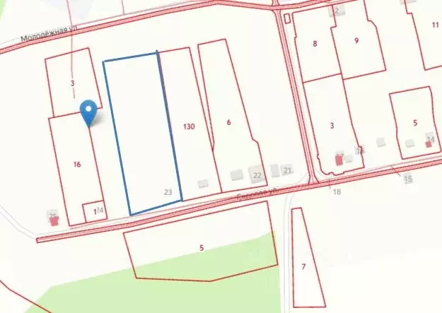 Участок в Амурская область, Серышевский муниципальный округ, с. ... - Фото 2