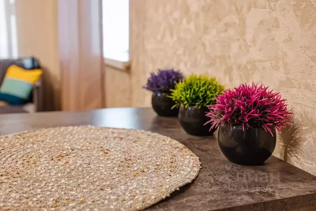 Студия Хакасия, Абакан просп. Ленина, 49 (45.0 м) - Фото 1