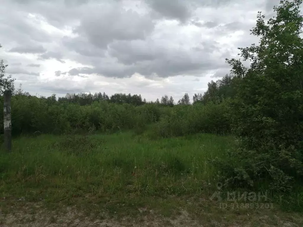 Участок, 541.8 сот., сельхоз (снт или днп) - Фото 0