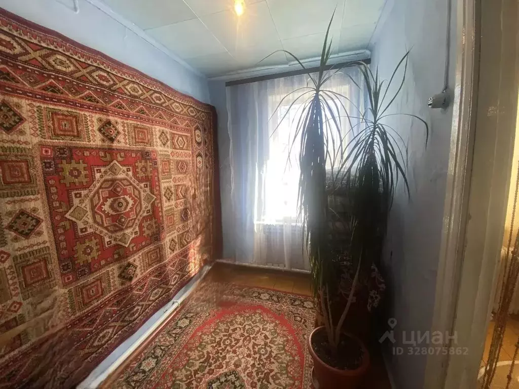 Дом в Амурская область, Серышевский муниципальный округ, с. Томское ... - Фото 2