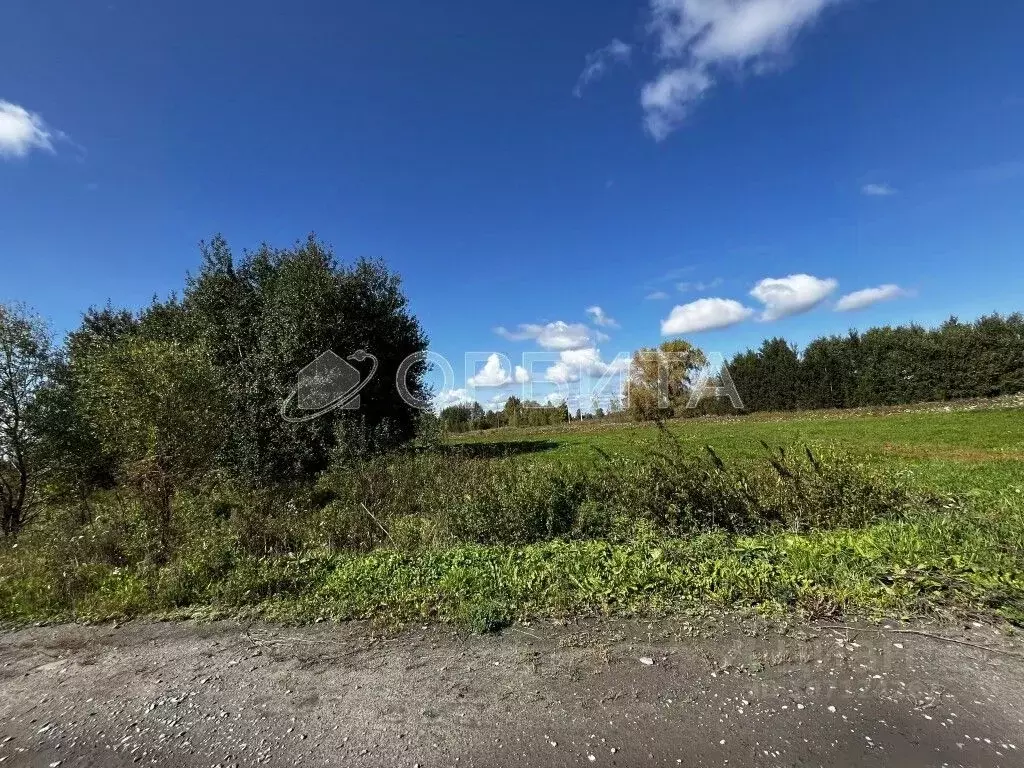 Участок в Тюменская область, Тюменский район, с. Созоново  (403.12 ... - Фото 0