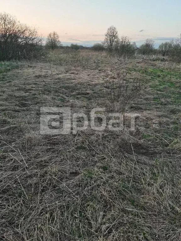 Участок 10 сот. (ИЖС) - Фото 1