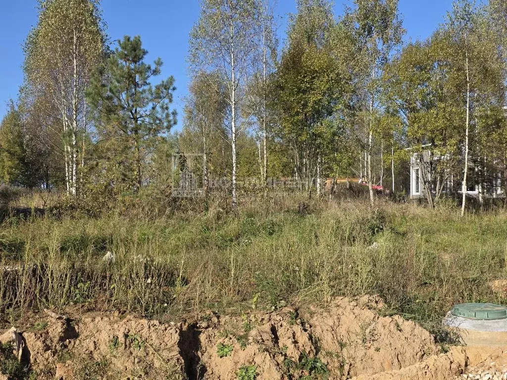 Участок в Владимирская область, Ковровский район, Доброград ... - Фото 1