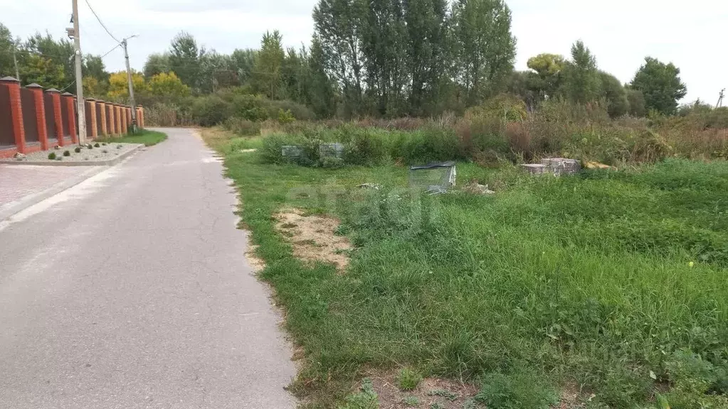 Участок в Белгородская область, Белгородский район, Поселок Разумное ... - Фото 1