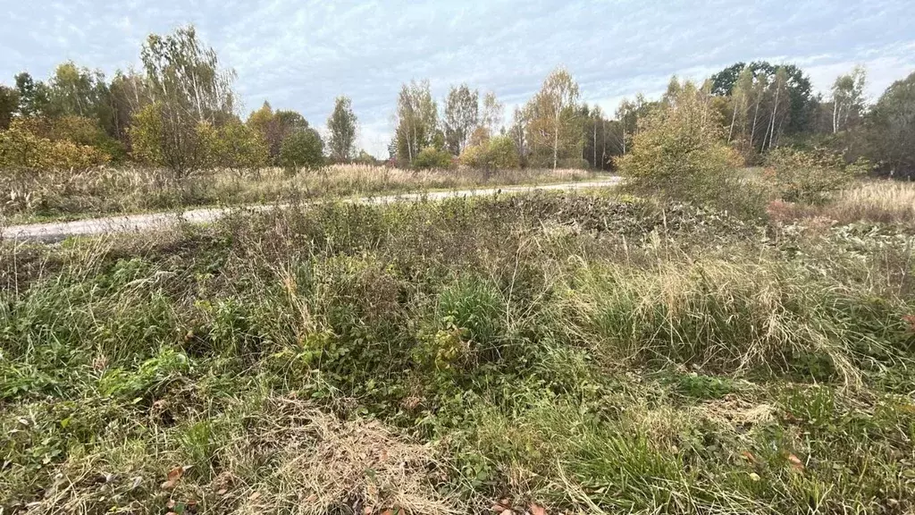 Участок в Московская область, Ступино городской округ, д. Зыбино  ... - Фото 1