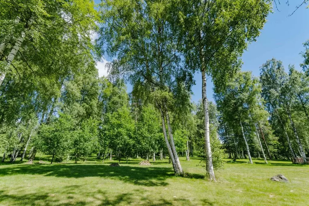 Участок в Ленинградская область, Приозерский район, Красноозерное ... - Фото 1