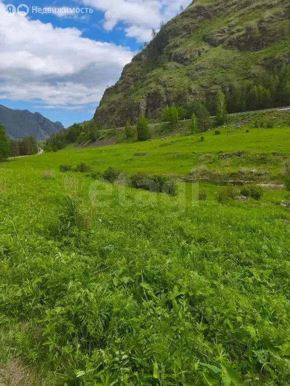 Участок в Чемальский район, Чемальский тракт (470 м) - Фото 0