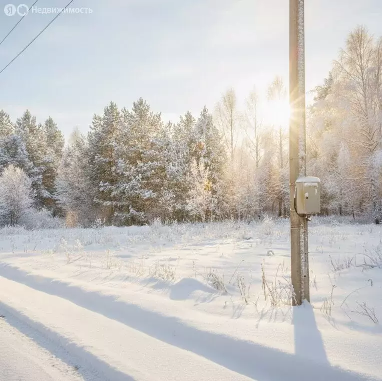 Участок в Киров, СДТ Славич (6 м) - Фото 1
