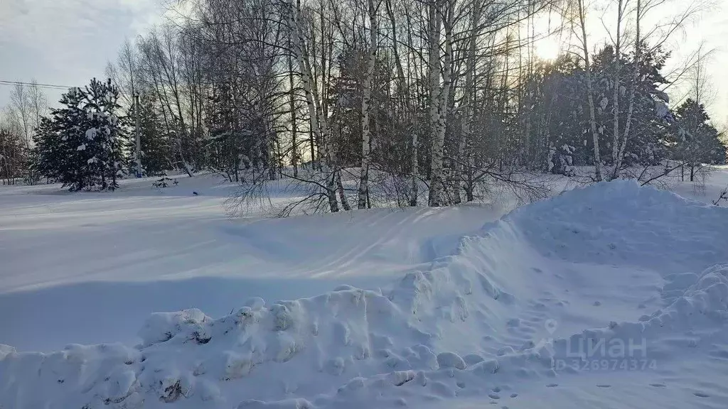Участок в Московская область, Орехово-Зуевский городской округ, д. ... - Фото 2