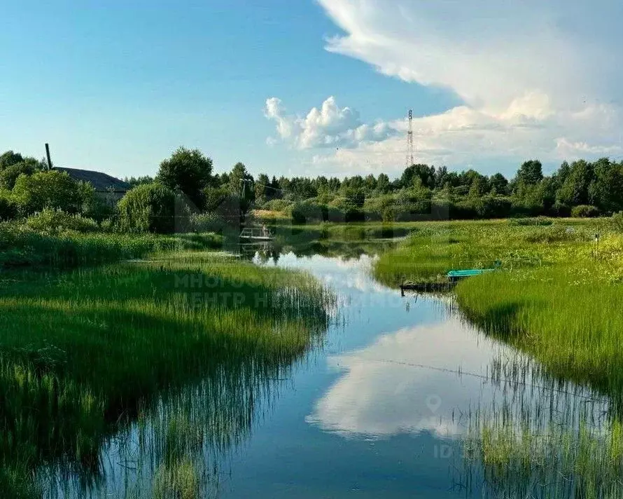 Участок в Карелия, Пряжинский район, с. Святозеро Олонецкая ул. (15.0 ... - Фото 1