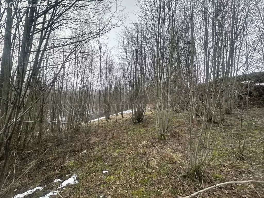 Участок в городской посёлок Токсово, Центральная улица (25 м) - Фото 2