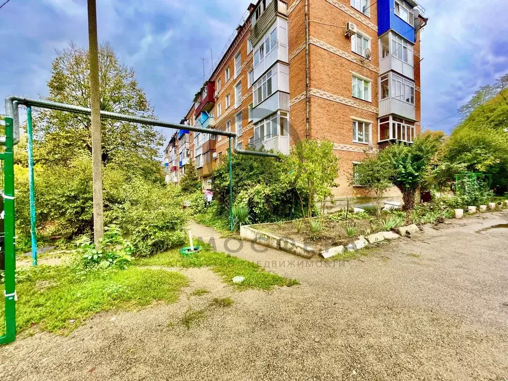 1-к кв. Краснодарский край, Апшеронск Профсоюзная ул. (31.9 м) - Фото 1