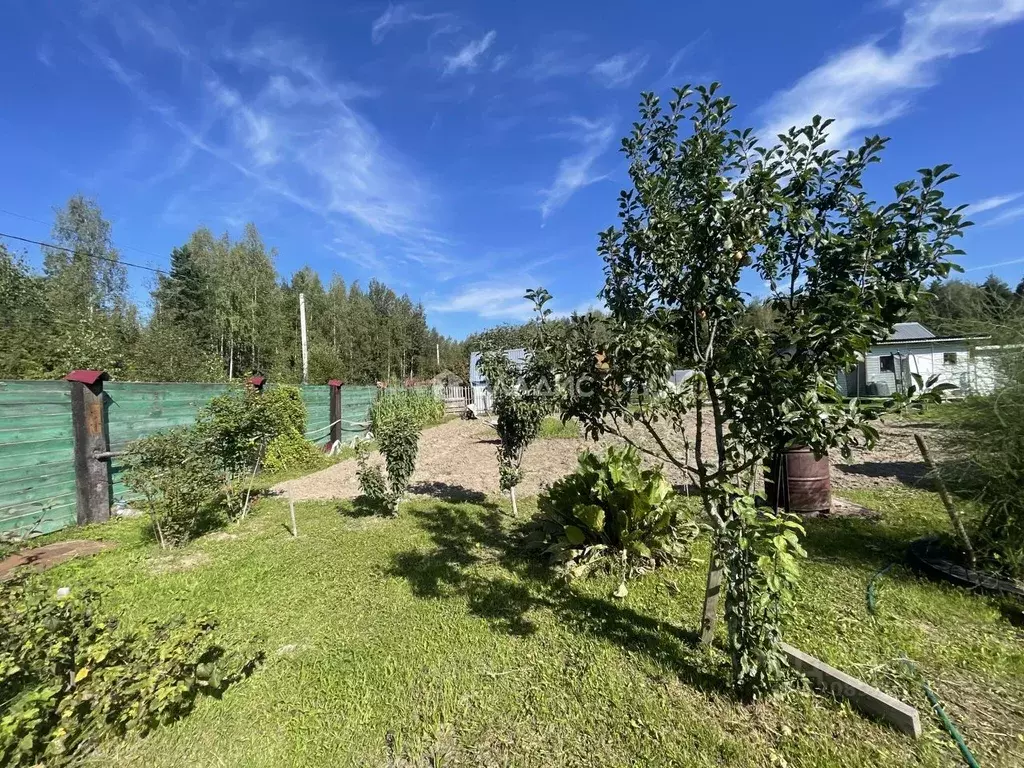 Участок в Владимирская область, Собинский муниципальный округ, ... - Фото 1