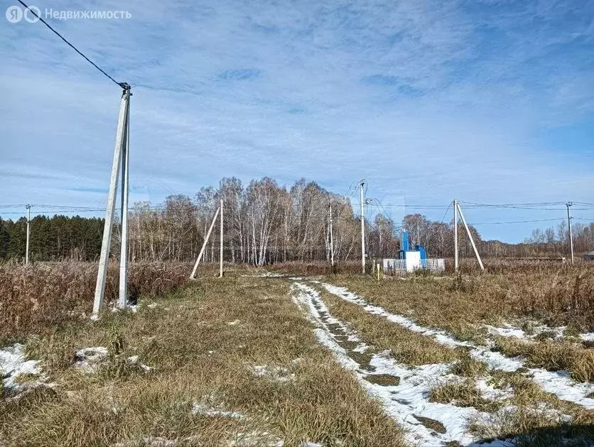 Участок в Тюменский район, деревня Решетникова, коттеджный посёлок ... - Фото 1