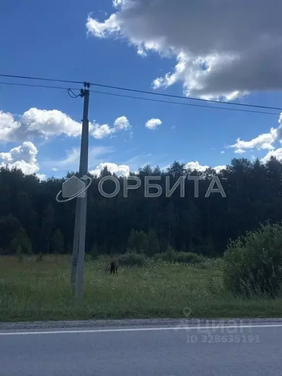 Участок в Тюменская область, Тюменский муниципальный округ, Нива СНТ ... - Фото 1