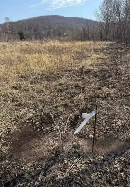 Участок в Приморский край, Шкотовский муниципальный округ, д. Царевка ... - Фото 1