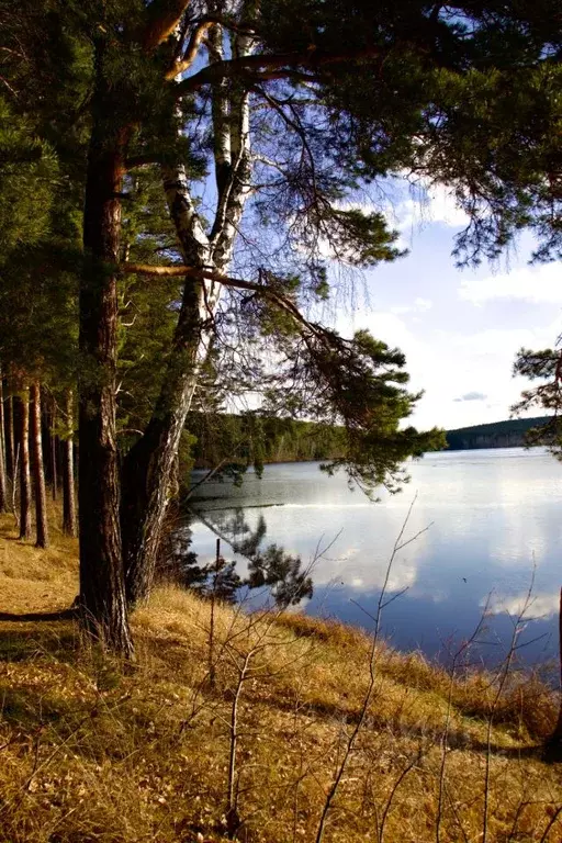 Участок в Свердловская область, Сысертский муниципальный округ, СНТ ... - Фото 1