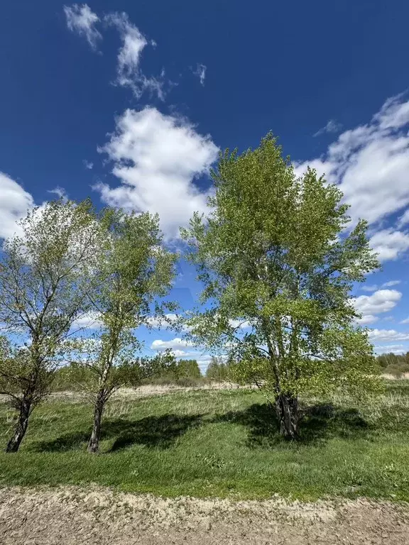 Участок 7,4 сот. (ИЖС) - Фото 1