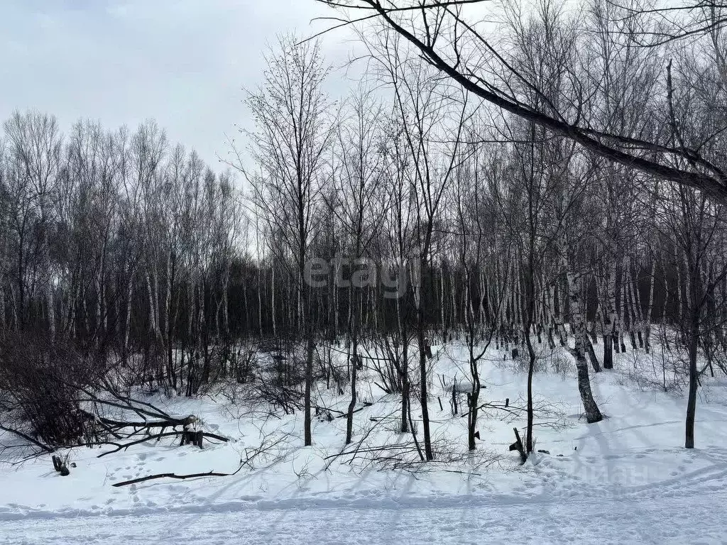 Участок в Хабаровский край, Комсомольск-на-Амуре  (10.0 сот.) - Фото 0