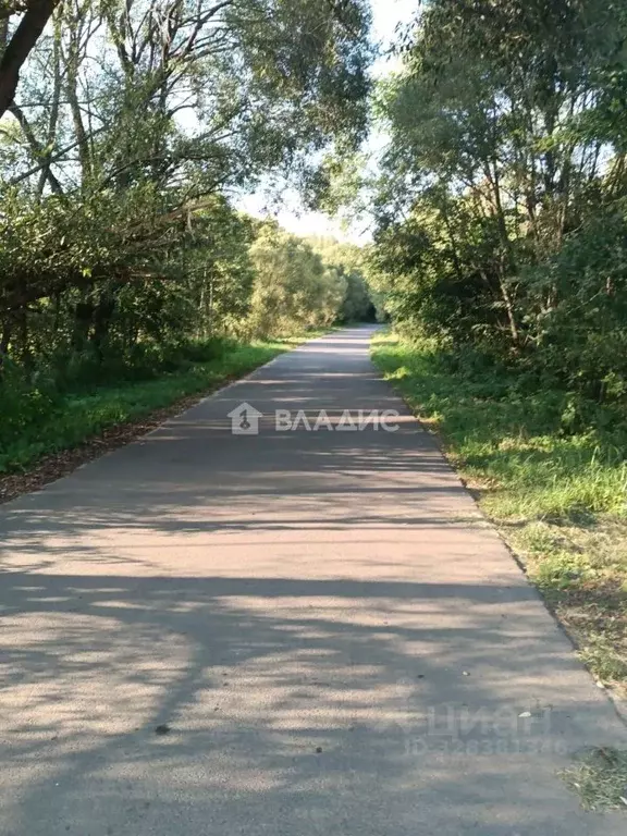 Дом в Владимирская область, Судогодский район, д. Суховка 9 (30 м) - Фото 2