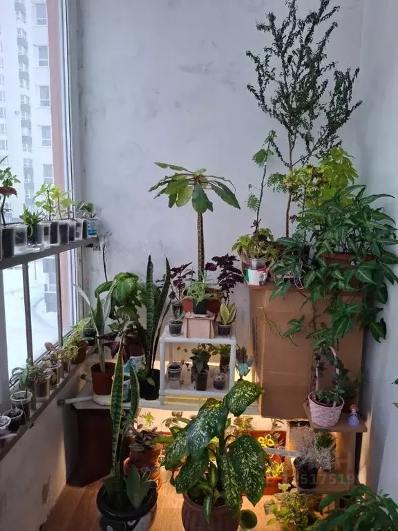 1-к кв. Алтайский край, Барнаул ул. Солнечная Поляна, 94к3 (30.0 м) - Фото 2