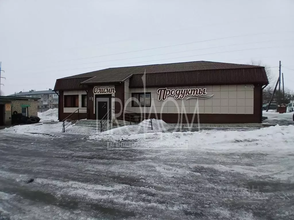 Торговая площадь в Алтайский край, Первомайский район, с. Березовка ... - Фото 1