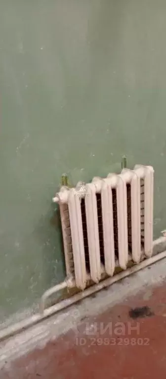 Торговая площадь в Московская область, Раменский муниципальный округ, ... - Фото 1