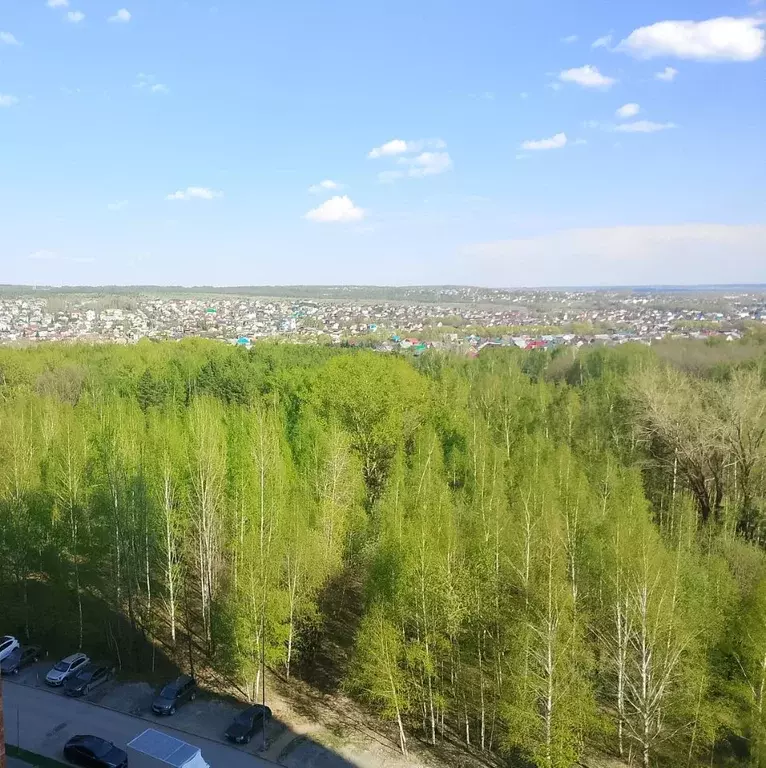 2-к кв. Татарстан, Казань ул. Чингиза Айтматова, 9 (64.4 м) - Фото 2
