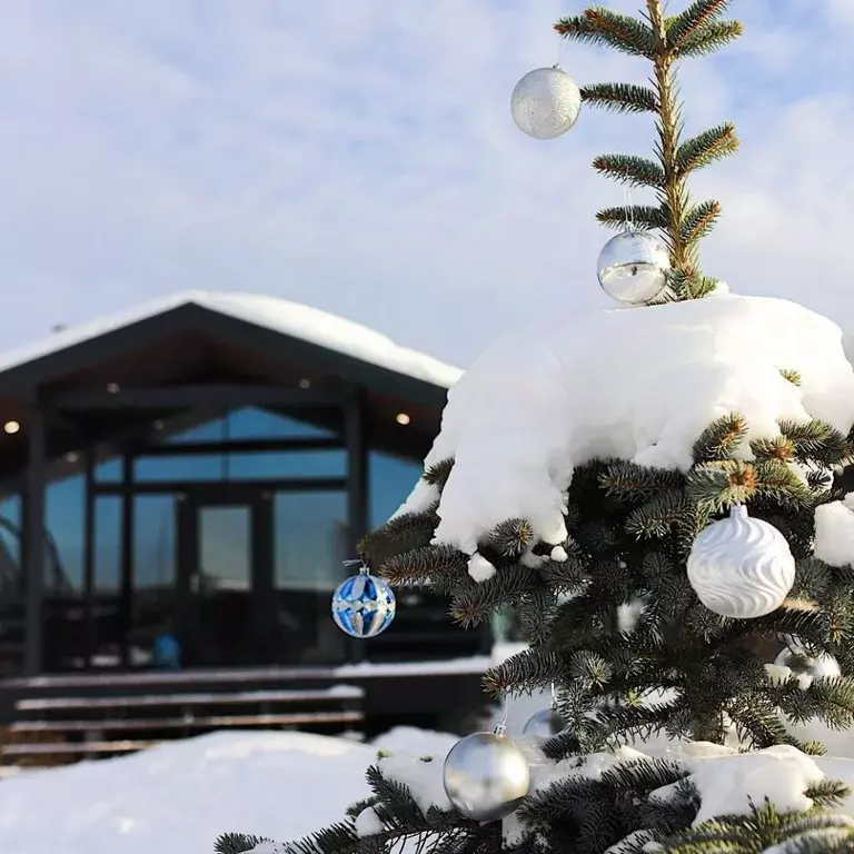 Дом в Московская область, Дмитровский муниципальный округ, Игнатово кп ... - Фото 1