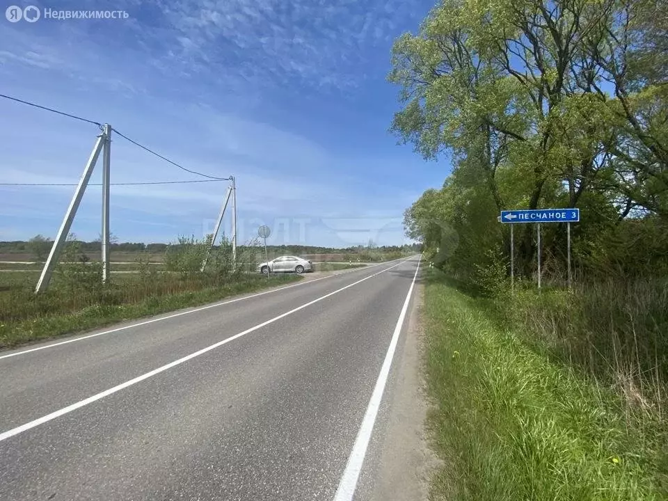 Участок в Светловский городской округ, посёлок Песчаное (25000 м) - Фото 0