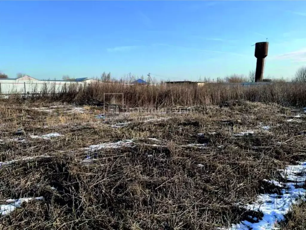Участок в Владимирская область, Суздальский район, Боголюбовское ... - Фото 1