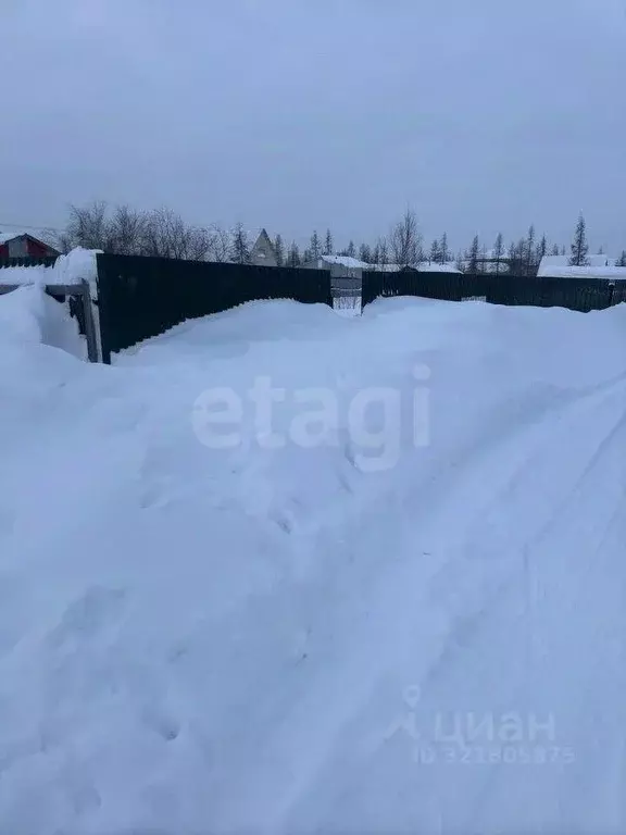 Участок в Ямало-Ненецкий АО, Новый Уренгой Титан ДНТ, 25 (6.0 сот.) - Фото 0