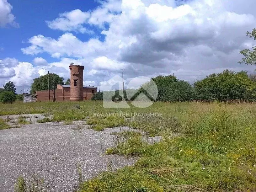 Участок в Новосибирская область, Маслянино рп  (203.0 сот.) - Фото 1