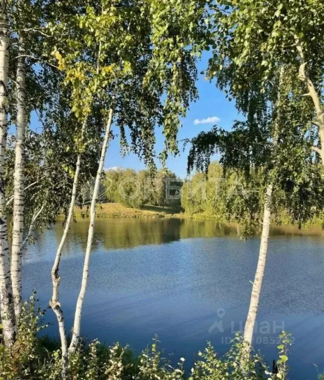 Участок в Тюменская область, Тюменский район, д. Малиновка ул. Вербная ... - Фото 0