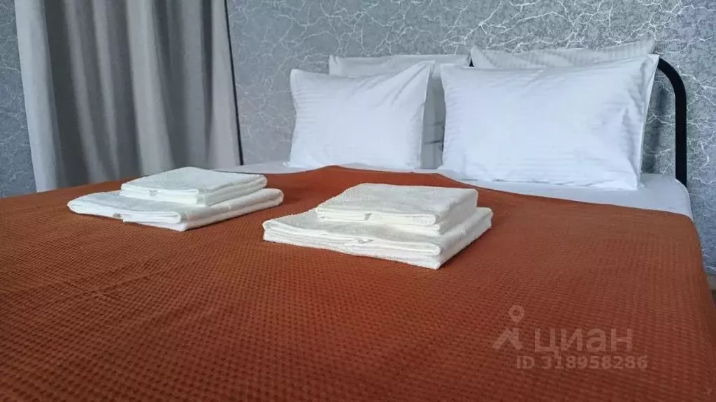 1-к кв. Новосибирская область, Новосибирск ул. Ватутина, 18А (29.0 м) - Фото 1