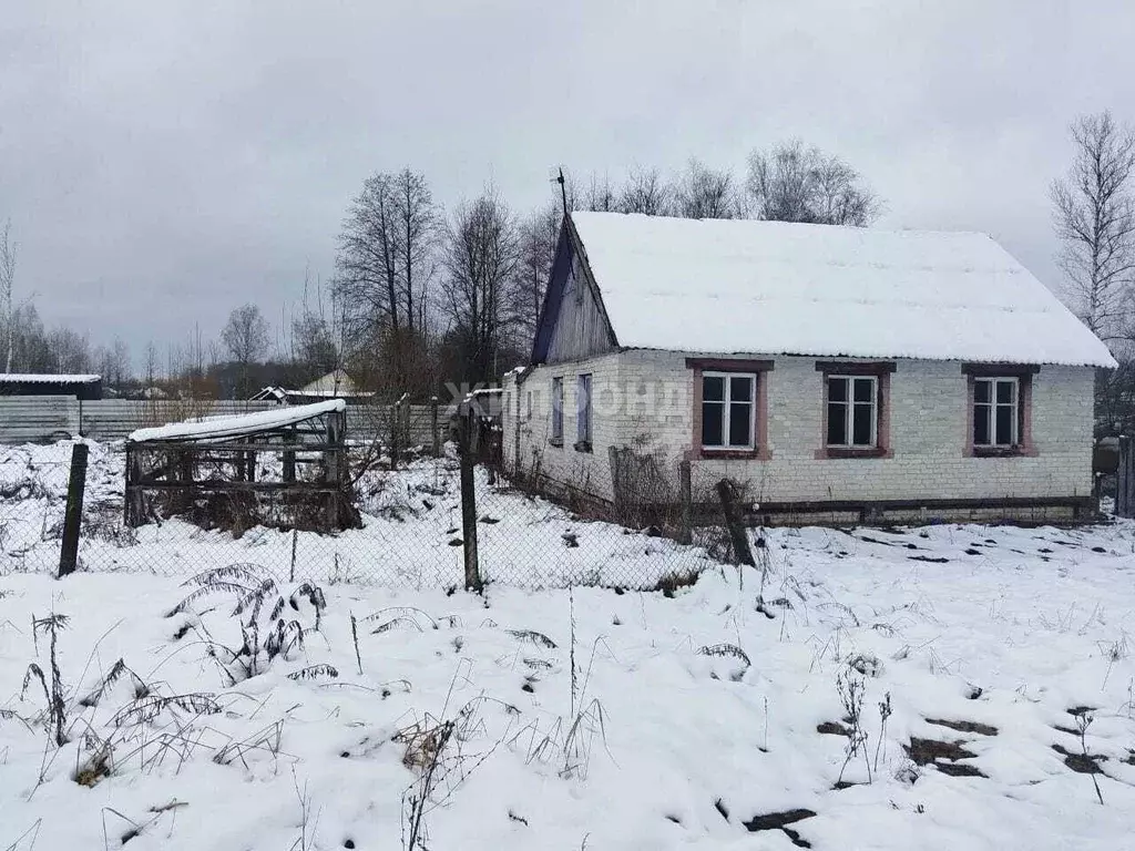 Дом в Брянская область, Брянский район, Нетьинское с/пос, д. Глаженка ... - Фото 0